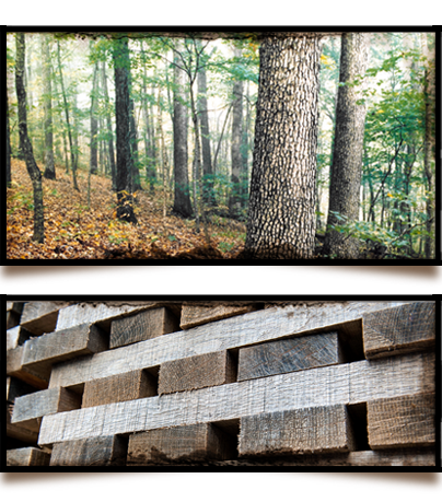 Bosque y roble apilado